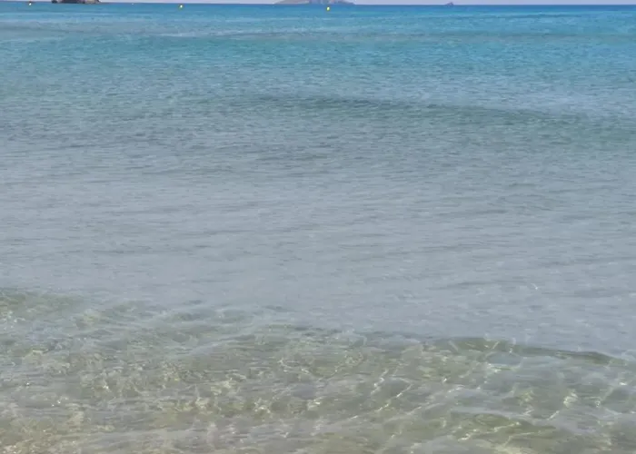 Ipanema 52 - By Watermelon